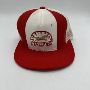 Vintage‎ Birmingham Stallions Hat Unisex Snapback AJD Lucky Stripes USFL